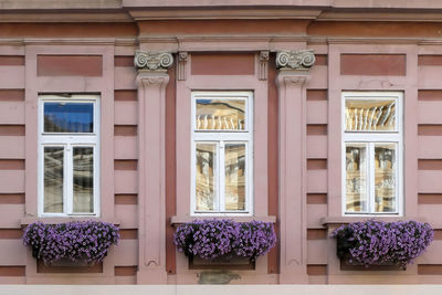 Full frame shot of potted plants on window of building