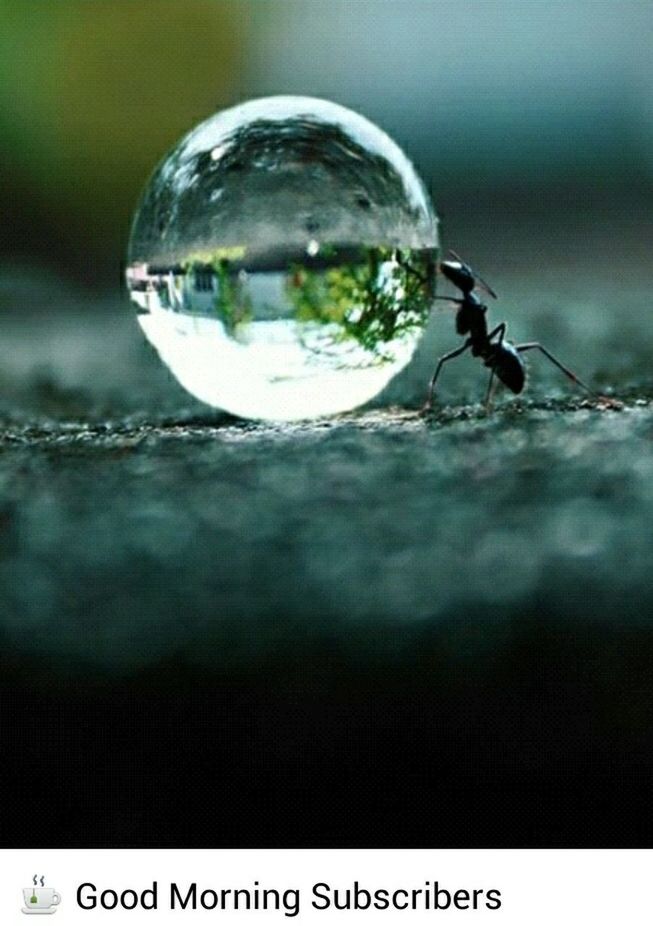 focus on foreground, close-up, reflection, water, transparent, glass - material, drop, circle, selective focus, sphere, wet, no people, outdoors, day, text, communication, rain, nature, western script, metal