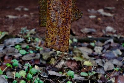 Close-up of rusty metal