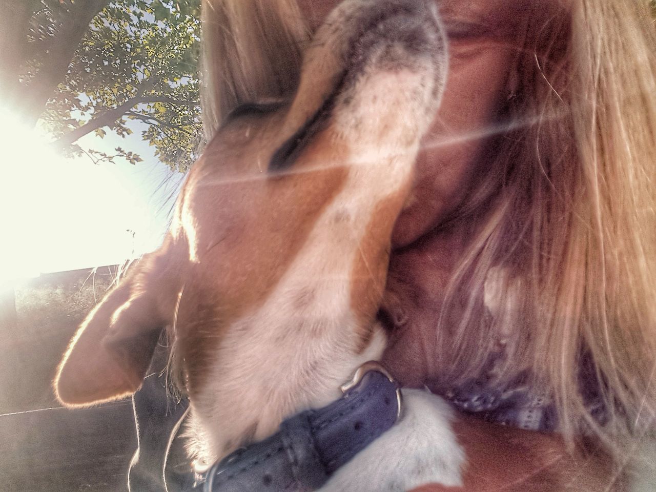 CLOSE-UP OF DOG STICKING OUT TONGUE ON MAN