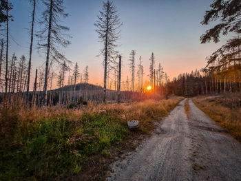 Dirt road amidst trees against sky during sunset