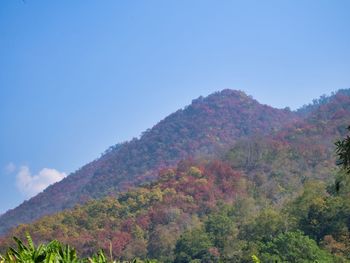 Low angle view of mountain against clear sky
