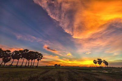 Scenic view of field against orange sky