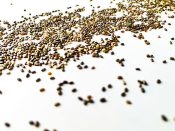 High angle view of coffee on table