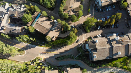 High angle view of buildings and trees in city