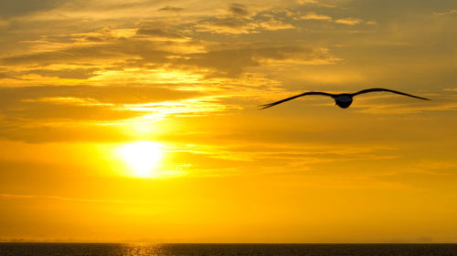 Sunset over sea