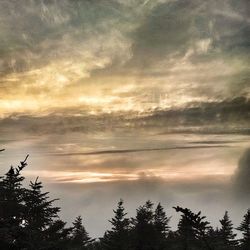 Low angle view of cloudy sky