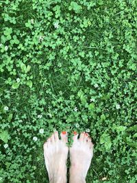 Low section of woman standing by plants