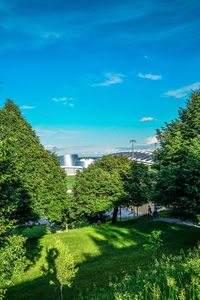 Trees and grass against sky in city