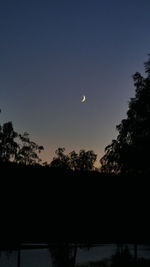 Low angle view of silhouette trees against clear sky