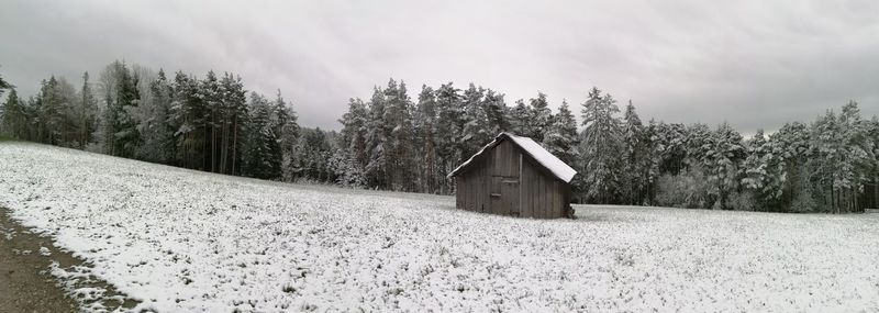 House amidst trees on snow covered land