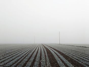 Frozen field and foggy view, lonely mood. morning fog. bad day