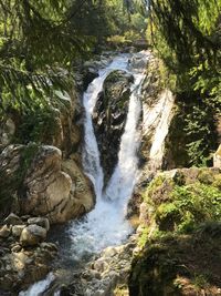 Scenic view of waterfall in forest