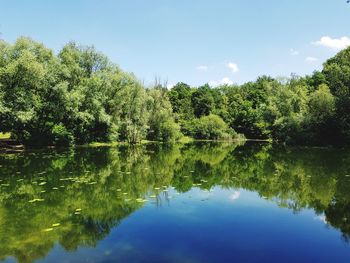 Scenic view of lake by trees against sky