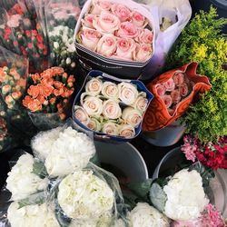 High angle view of multi colored flowers