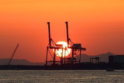 Cranes at sunset