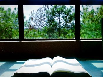 Low section of trees at home