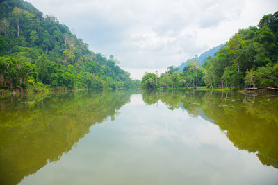 Scenic view of lake by trees against sky