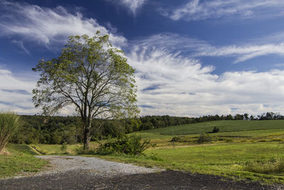 Road amidst field against sky