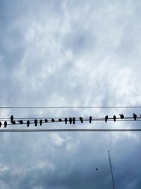 Low angle view of birds perching on cable against sky