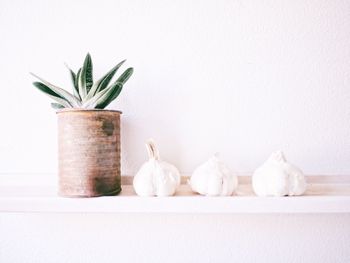 Close-up of potted plant and garlic bulbs