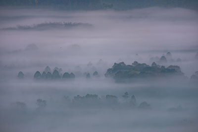 Scenic view of fog covered landscape against sky