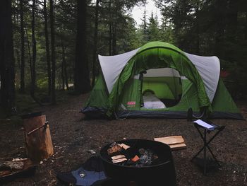 View of tent in forest