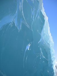 Close-up of jellyfish swimming in sea
