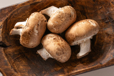 Close-up of mushrooms