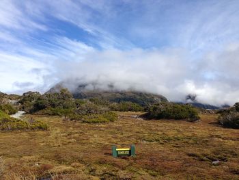 Fragile area, please keep to the track. photography from alpine wetland, south island, new zealand. 