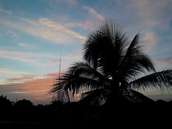 Silhouette palm tree against sky during sunset