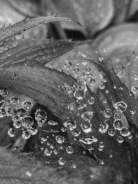 Full frame shot of water