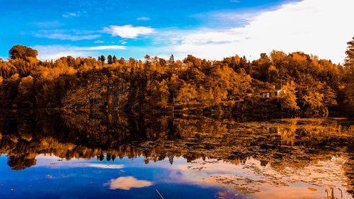 Reflection of trees in lake against sky