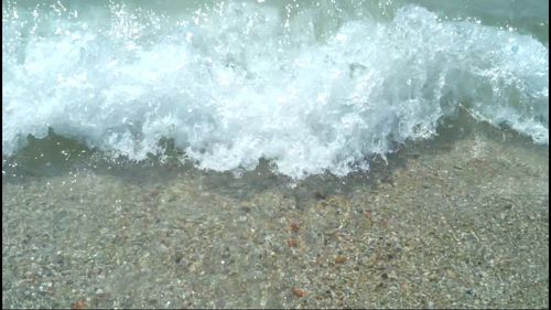 View of water splashing on tree