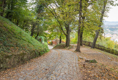 Footpath amidst trees in autumn
