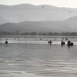 Scenic view of lake and mountains