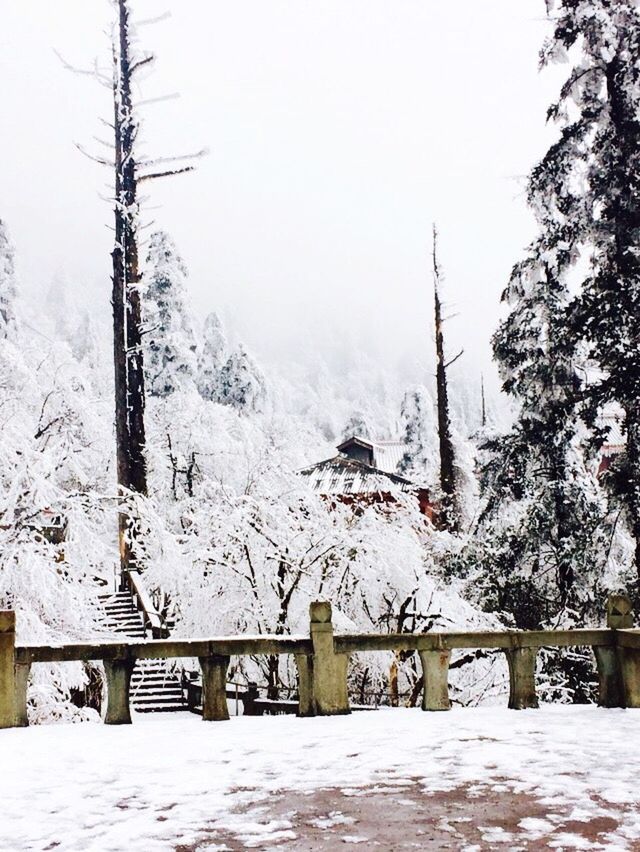 snow, winter, cold temperature, season, weather, tree, covering, tranquil scene, tranquility, mountain, nature, scenics, beauty in nature, landscape, white color, frozen, clear sky, snow covered, covered, railing