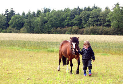 Full length of cute girl holding foal while walking on grassy field