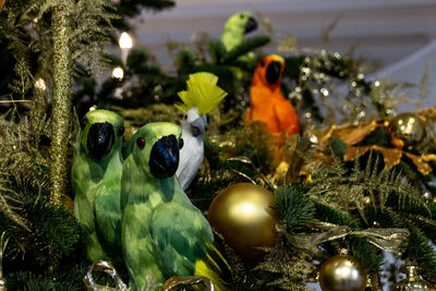 Close-up of toys on tree