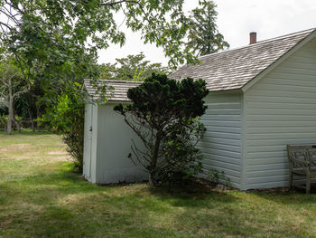 Trees and house on field against sky
