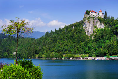 Scenic view of lake by trees against sky