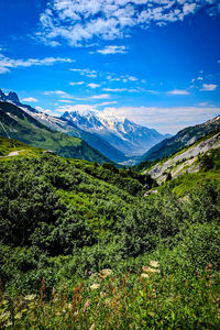 nature