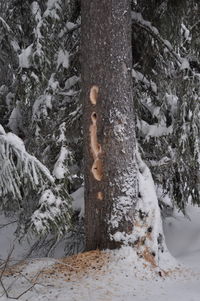 Low section of person on tree trunk during winter