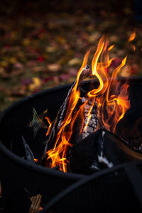 Close-up of campfire