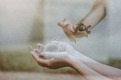 Close-up of hand holding flower