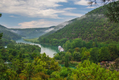 Scenic view of river amidst trees against sky