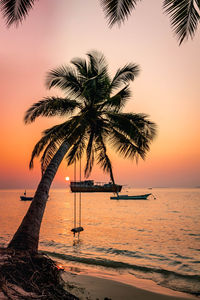 Silhouette palm tree by sea against sky during sunset