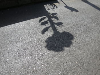 High angle view of shadow on tiled floor