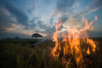 Close-up of fire in field against sky during sunset
