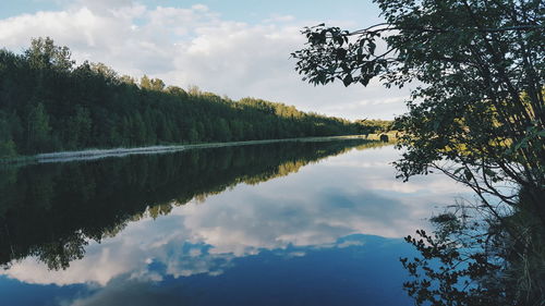 Reflection of trees in lake against cloudy sky